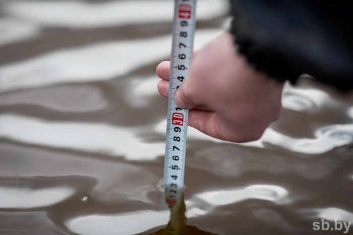 За сутки паводковыми водами в Гомельской области подтоплено 23 подворья