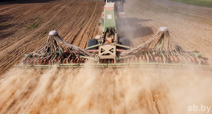 Гомельская область активно продолжает сеять кукурузу на зерно и силос