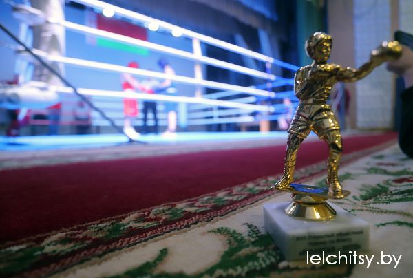 В Лельчицах прошли финальные бои XVII Открытого областного турнира по боксу «Полесье-2022»