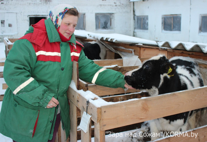 Журналисты побывали на молочно-товарном комплексе «Литвиновичи» Кормянского района и узнали, чем живет сельхозпредприятие в зимнее время
