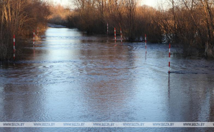 Подтопления талыми водами зафиксированы в Минской и Гомельской областях