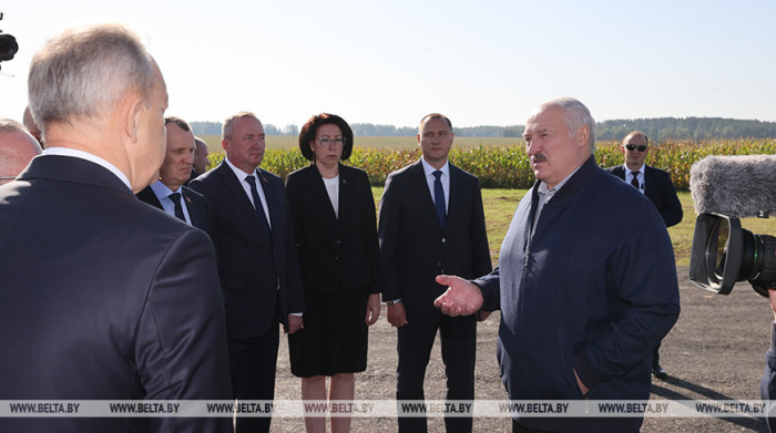 Лукашенко поручил КГК провести ревизию использования сельхозугодий