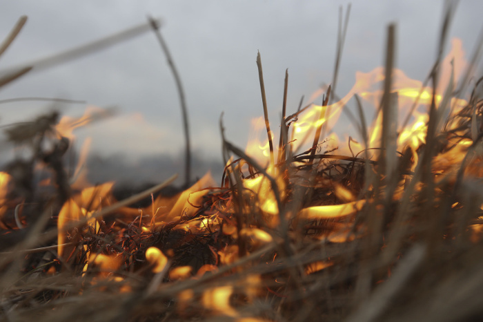 В Чечерском районе во время тушения травы пенсионер получил ожоги
