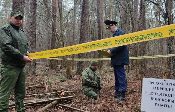 ФОТОФАКТ: В Ченковском лесу под Гомелем возобновили раскопки в местах массовых расстрелов в годы ВОВ
