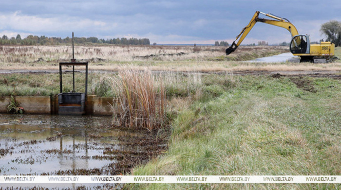 В Беларуси на отвоеванной у болот территории получают треть продукции растениеводства и 60 % зеленых кормов