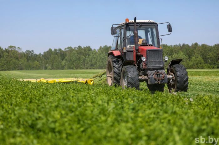 В Беларуси заготовлено более миллиона тонн травяных кормов