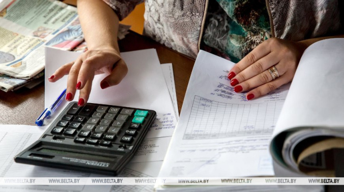 Налоговые органы в Беларуси ежегодно проверяют около 200 тыс. человек на соответствие доходов и расходов