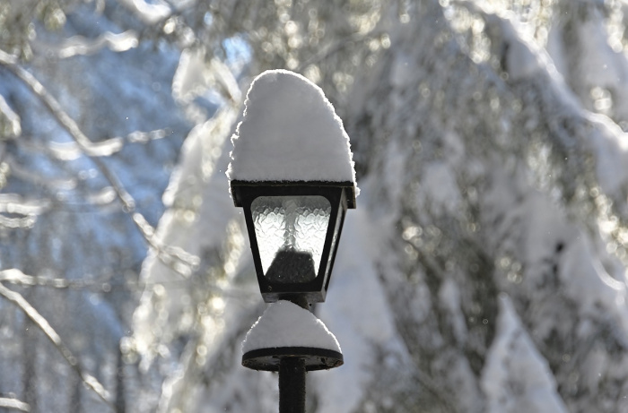 Мокрый снег и до -5°C ночью ожидается в Гомеле 10 февраля