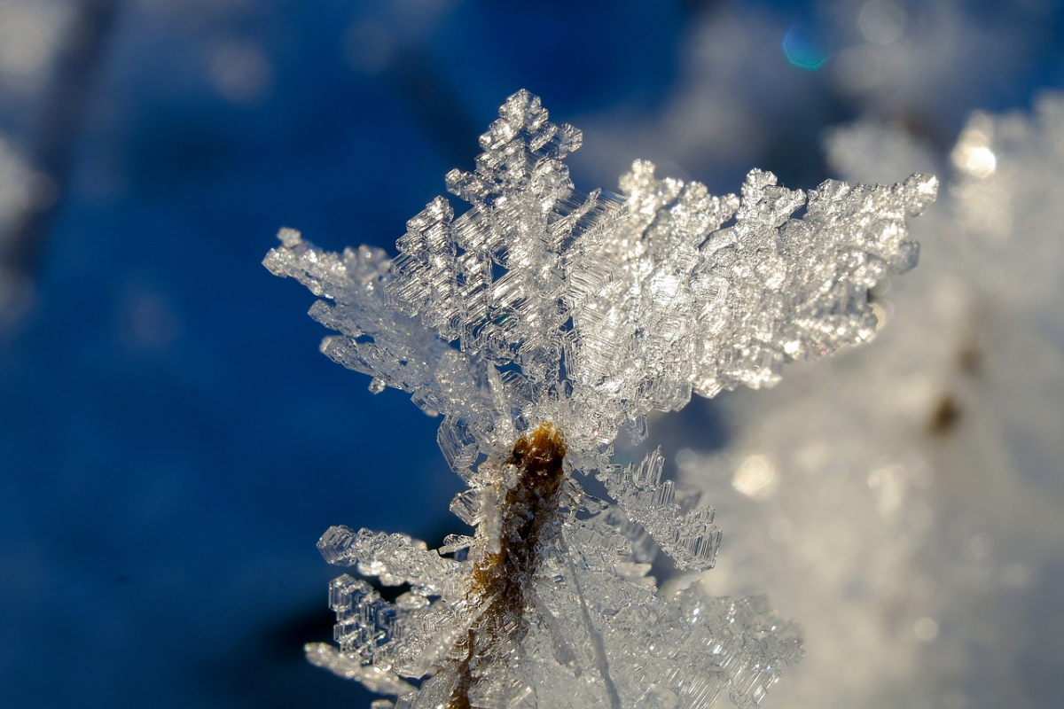 Дождь и до +6°C ожидается в Гомеле 13 февраля