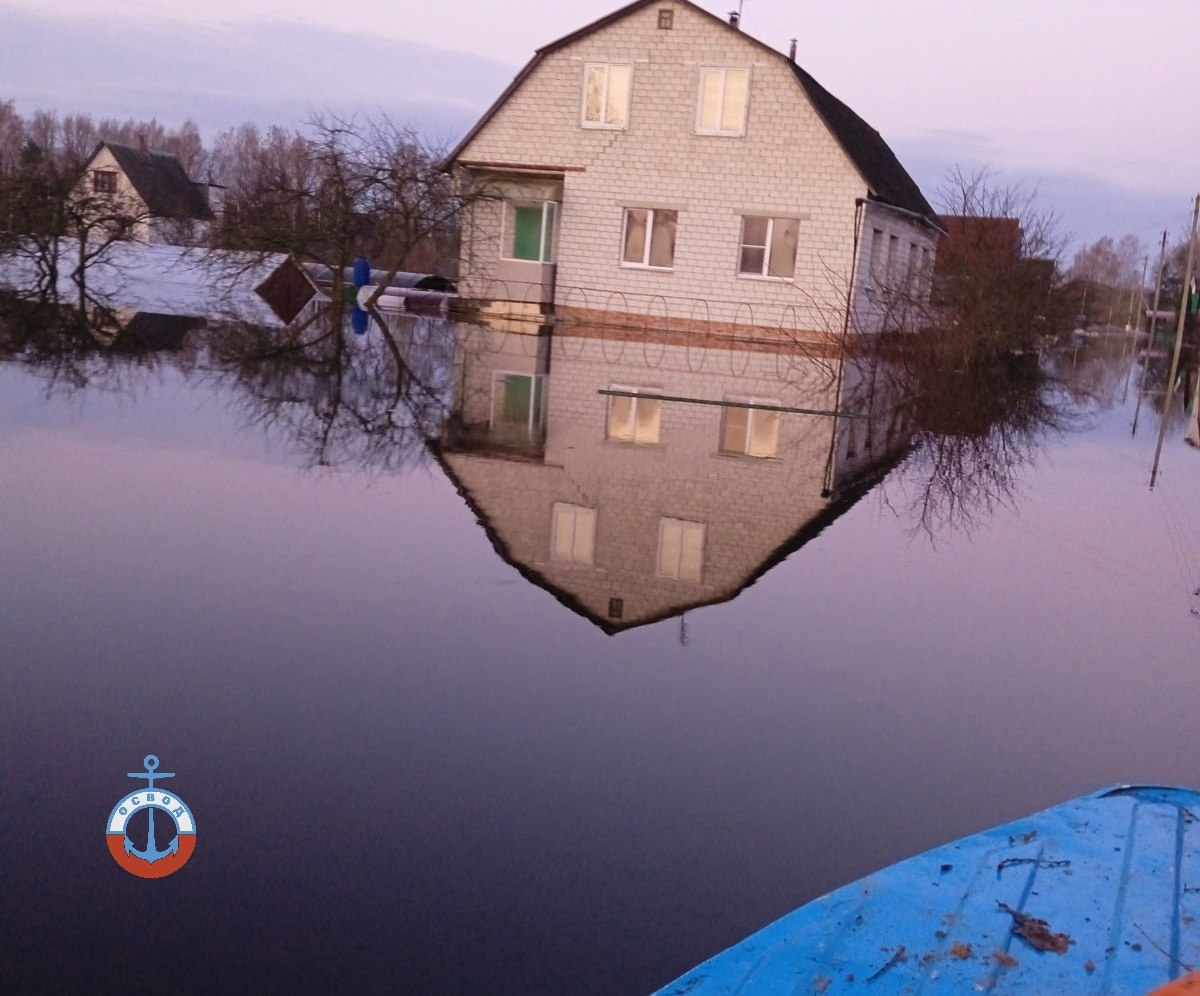 Вода за полчаса залила дома по окна: под Гомелем ОСВОД и МЧС ночью  эвакуировали людей