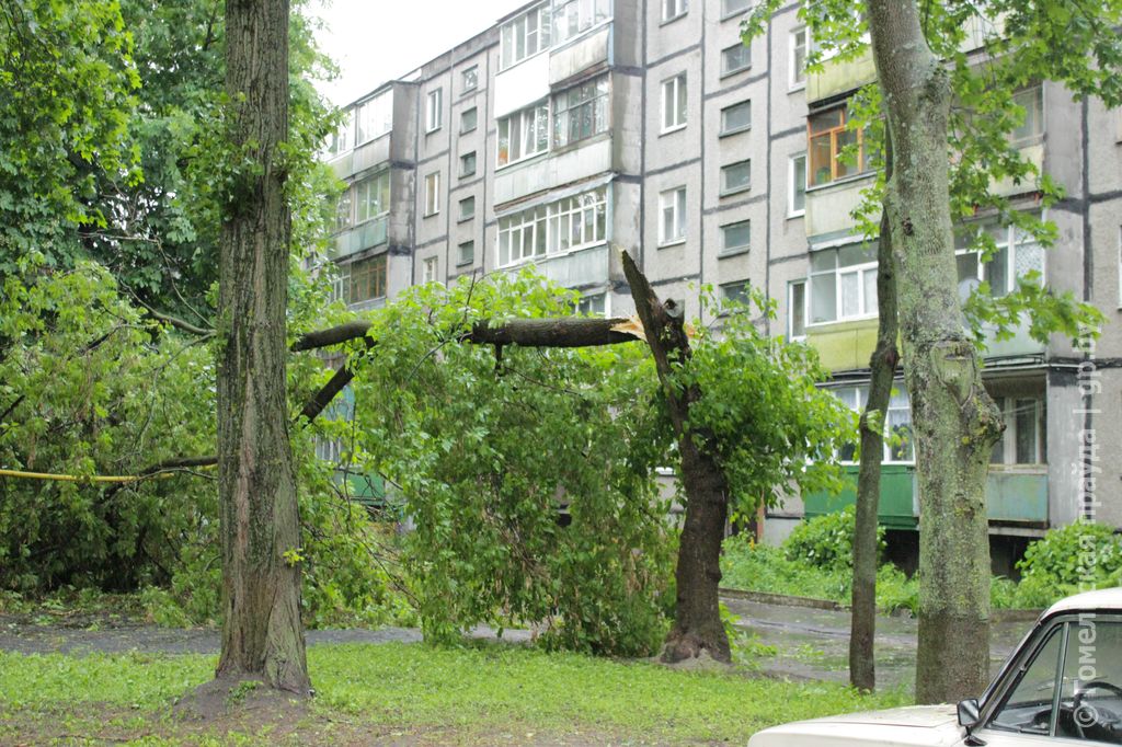 Сильный гомель. Ветер в Гомеле.