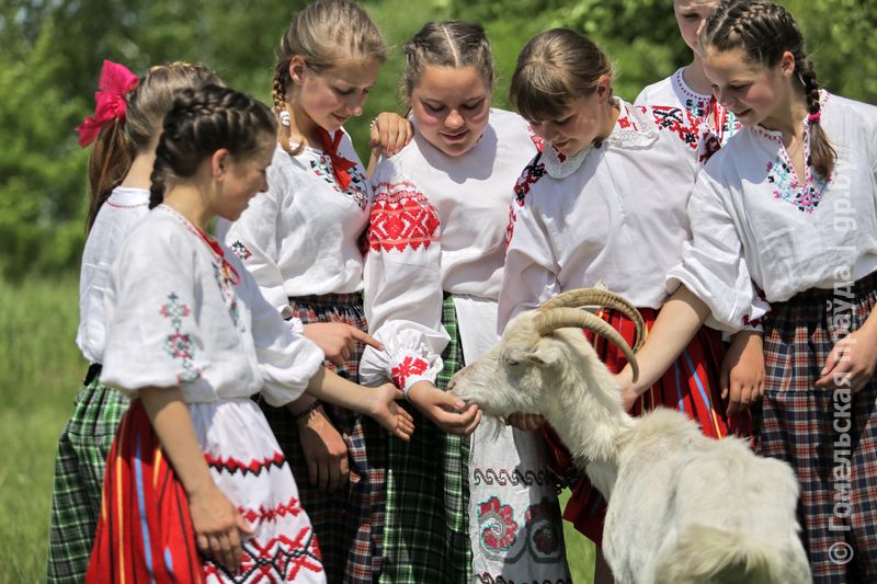 Столбун Ветковский район