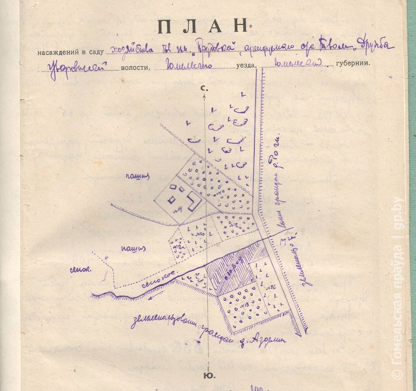 Карта буда кошелевского района