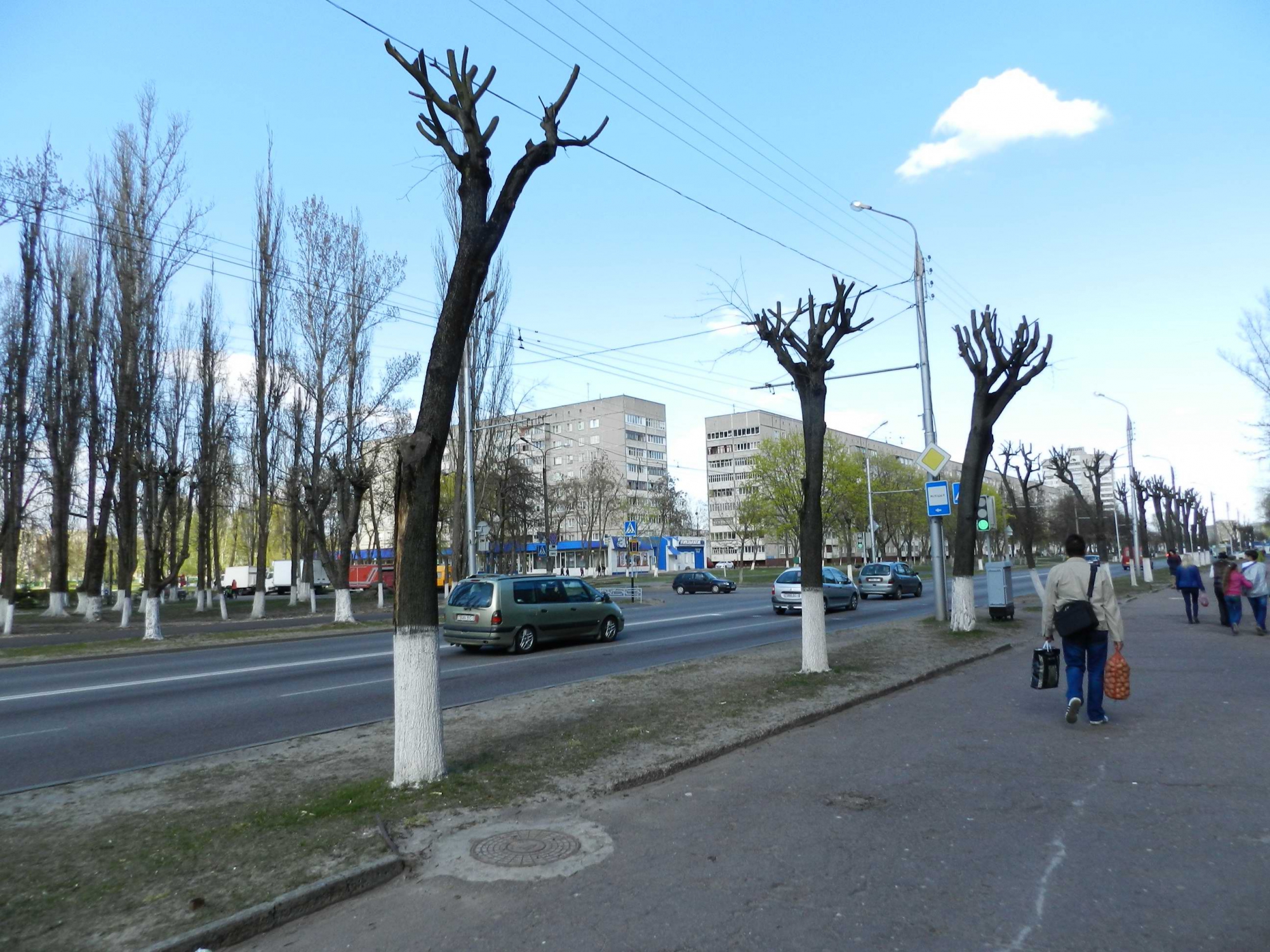 Гомель утратил статус зеленого города?