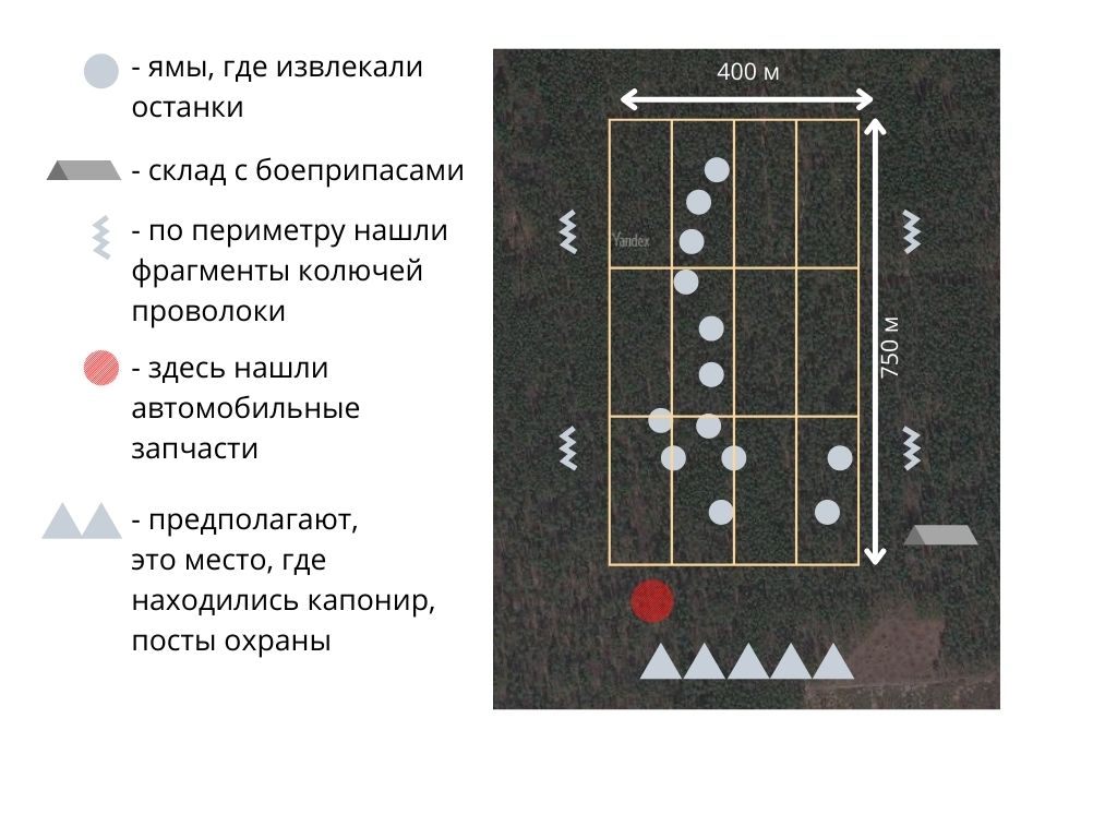 Фашистская фабрика смерти под Гомелем. В апреле возобновляются поисковые  работы на месте массового захоронения в ченковском лесу