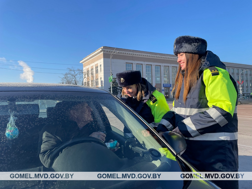 В Гомеле женский экипаж ГАИ поздравлял мужчин-водителей с Днем защитника  Отечества