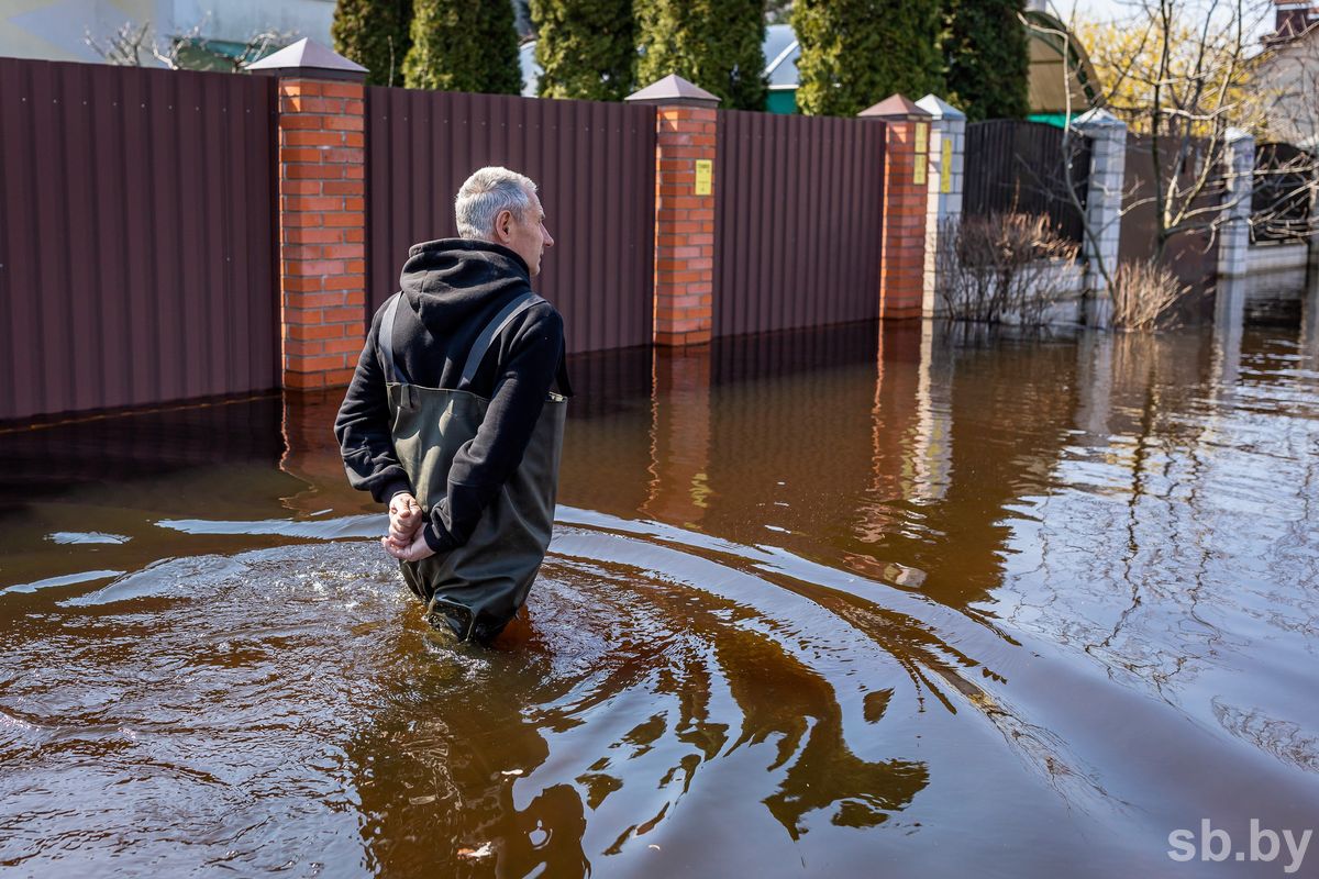 Вода в Гомеле сбавляет темпы, но не отступает