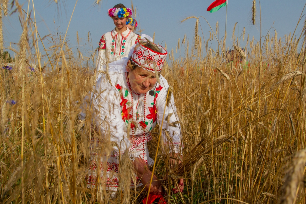 Начало жатвы в старину называли зажинки заверши рисунок