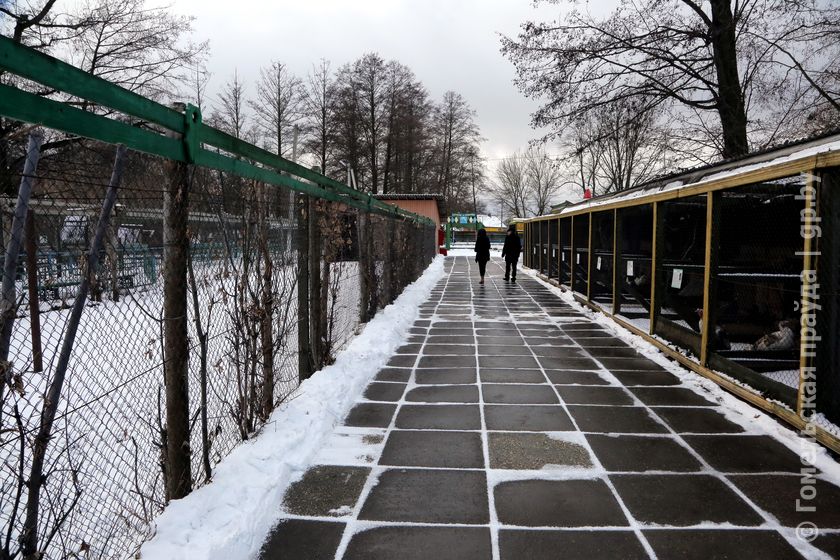 Гомельский зоопарк. Зоопарк под Гомелем по дороге к границе.